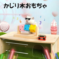 楽天市場】チンチラ キューブ（かじり木｜小動物用品）：ペット 