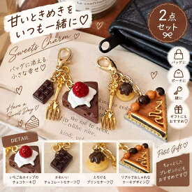 バッグチャーム 2点セット ケーキ チョコレート プリン スイーツ キーホルダー チャーム ミニチュア 食品サンプル風 バッグアクセサリー レディース かわいい おしゃれ プレゼント ギフト