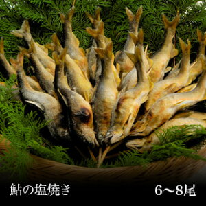 炭火焼 鮎の塩焼き(焼き鮎)(6〜8尾)林屋