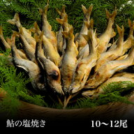 【国産・林屋】炭火焼 鮎の塩焼き 焼き鮎 (10～12尾) あゆ アユ 焼鮎 焼あゆ グリル オーブン レンジおす…