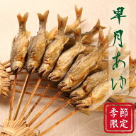 【季節限定】早月（さつき）あゆの塩焼き（1束 6~7尾入り）