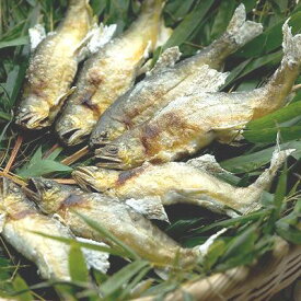 WA-30 身がやわらか若鮎の塩焼き(焼き鮎）（10〜12尾入）