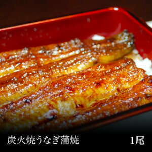 yYzYΏĉV(1E^tEȂ)щ