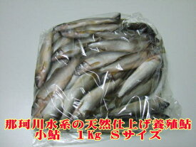 とちぎプレミアム ◆　小　鮎　（ Sサイズ　1kg ）(那珂川水系天然仕上げ安心安全の養殖鮎)