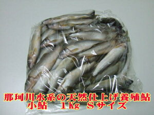 Ƃv~A KISAKU @@i STCY@1kg j(߉ϐ쐅nVRdグSS̗{B)