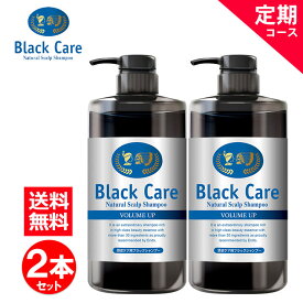 【定期コース】ブラックケアシャンプー600ml 毎回2本お届けのコース【宅配便限定】