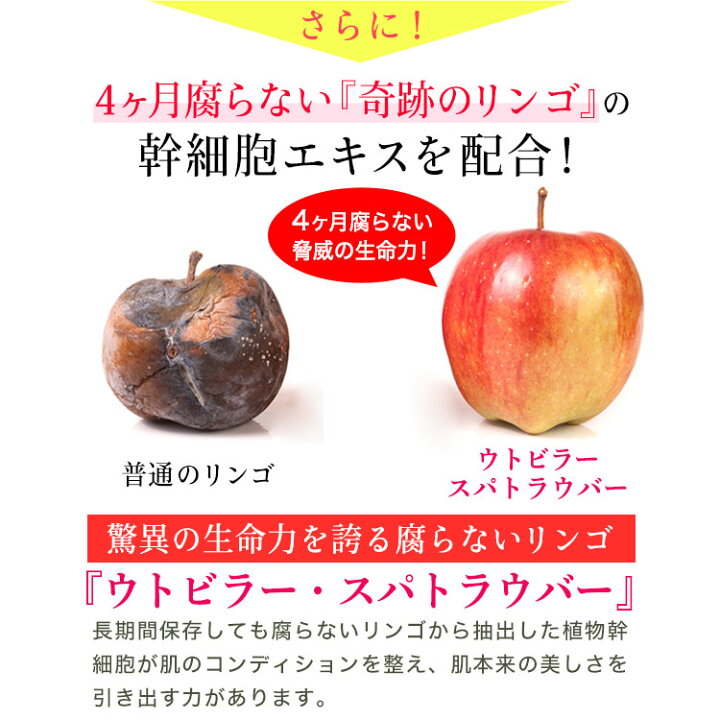 楽天市場 Ideal Moisture イデアル モイスチャー 濃密美容クリーム 40g 1個 クリーム 植物幹細胞エキス 幹細胞コスメ 植物幹細胞 スキンケア ボタニカル ナチュラルガーデン