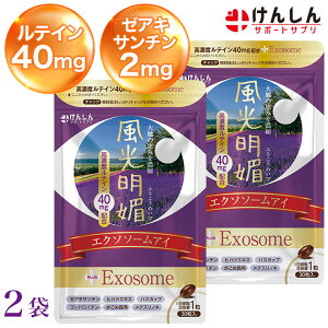 【ポイント20倍!24日10時〜27日9時59分まで】 風光明媚 エクソソームアイ 2袋 セット 合計60粒(約60日分) けんしん サポートサプリ ルテイン40mg ゼアキサンチン2mg エクソソーム ハスカップ アイ