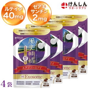 Z GN\\[AC 4 Zbg v120(120) 񂵂 T|[gTv eC40mg [ALT`2mg GN\\[ nXJbv ACPA  Tvg OXmL 