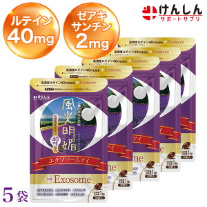 Z GN\\[AC 5 Zbg v150(150) 񂵂 T|[gTv eC40mg [ALT`2mg GN\\[ nXJbv ACPA  Tvg OXmL 