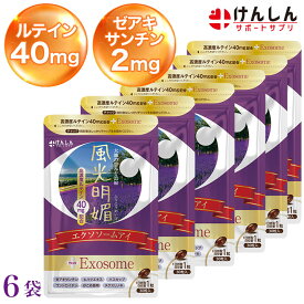 風光明媚 エクソソームアイ 6袋 セット 合計180粒(約180日分) けんしん サポートサプリ ルテイン40mg ゼアキサンチン2mg エクソソーム ハスカップ アイケア 目 サプリメント メグスリノキ がごめ昆布 コンドロイチン サプリ