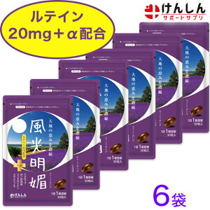 【ポイント20倍!24日10時〜27日9時59分まで】 風光明媚 6袋 セット 合計180粒(約180日分) けんしん サポートサプリ ルテイン20mg アイケア 目 サプリメント ふうこうめいび メグスリノキ ハスカッ