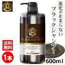 【ポイント10倍＆最大2026円OFFクーポン！16日1:59まで】 ブラック・ナチュラルシャンプー 600mL 1本 ブラックケアシ…