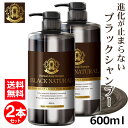 【ポイント10倍＆最大2026円OFFクーポン！16日1:59まで】 ブラック・ナチュラルシャンプー 600mL 2本セット ブラックケアシャンプー ブラックシャンプー リンス不要 スカルプ シャンプー ハリ コシ しっとり さらさら 弱酸性 天然成分 地肌ケア レディース メンズ ボトル