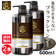 【ポイント最大35倍！21日9時59分まで】ブラック・ナチュラルシャンプー 600mL 2本セット ブラックケアシ…
