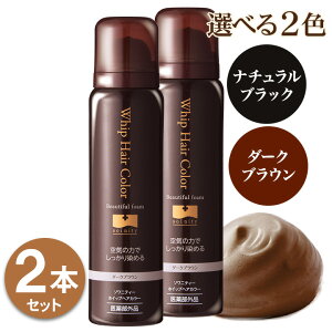 ヘアカラー 白髪染の人気商品 通販 価格比較 価格 Com