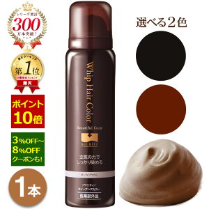 y|Cg10{ő8OFFN[|I12/11 9:59܂Łz  ivэ \jeB[ zCbvփAJ[ 80g 1{ A AJ[ Iׂ2F ubN/_[NuE  򕔊Oi