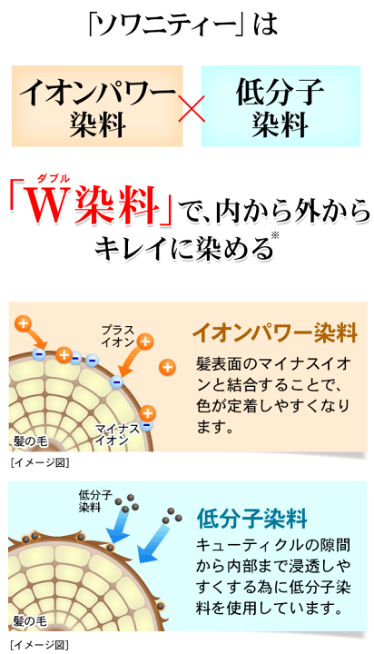 楽天市場】白髪染め トリートメント ソワニティ ヘアカラー 楽天市場】白髪染め トリートメント ソワニティ ヘアカラー