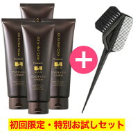 【初回限定】 白髪染め ソワニティー ヘアカラートリートメント 210mg×超お得な4本セット【お一家族様1…