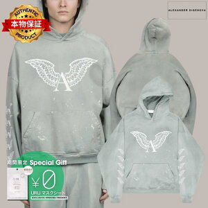 ALEXANDER DIGENOVA �A���L�T���_�[�E�f�B�W�F�m�o �y�{���ۏ؁z �p�[�J�[ �X�g���[�g�n �����Y TRUTH SERUM SHRUNKEN HOODIE