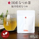 【期間限定★ポイントUP中！】なつめいろ / 国産無農薬なつめ茶（福井県産）40g入り 約10杯分(無農薬 国産 福井県 日本産 なつめ茶 健康茶 ハーブティー ノンカフェインなつめ 女性 お悩み 更年期 温活 薬膳 鉄 鉄分 授乳中 プレゼント 出産祝い 1,500円以内 ) 敬老