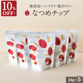 【10％OFF！ 6/11 1:59まで】 通常価格より13％OFF なつめチップ24g×5個(無添加 ノンフライ 砂糖不使用 ドライなつめ なつめチップス ドライフルーツ お菓子 薬膳 ナツメ 棗 韓国 美容 グルテンフリー ダイエット 低カロリー 鉄分 葉酸 亜鉛 カルシウム ギフト 3,000円以内)