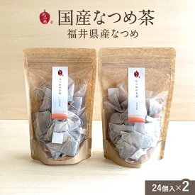 なつめいろ / 国産なつめのお茶 3g×24個入り2袋セット(無農薬 国産 福井県 日本産 なつめ茶 ハーブティー ノンカフェインなつめ ナツメ 棗 女性の悩み 更年期 温活 美容 薬膳 プレゼント 妊娠中 授乳中 出産祝い 母の日 女性向け 鉄分補給 5,000円以内)