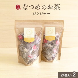 なつめいろ/なつめのお茶 (ジンジャー) 3g×24個入 2袋セット (無添加 なつめ茶 国産生姜 ハーブティー ノンカフェイン なつめ ナツメ 棗 韓国 女性 美容 温活 更年期 薬膳 プレゼント 出産祝い 5,000円以内)