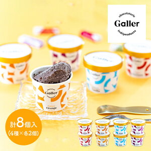  Ε NX}X 2025 K[ v~AACXN[ 8 Zbg 100ml EIGLN-8 Galler ACX ACXN[ ACXN[Mtg XC[c fU[g  Mtg j  