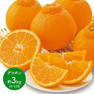 y2026N2{`{͂z F{Y fR| 2`3kg JAF{ʎA CG045 CG046 2kg 3kg ݂    ݂񔠔 F{݂ ݂ t[c ʕ k łۂ  