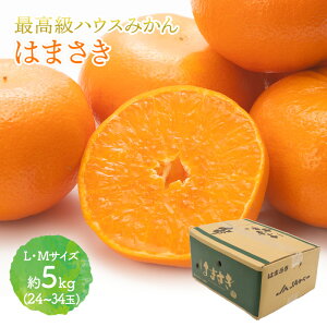 y2026N2{`3{͂z ꌧY ͂܂ 2`5kg (LEMTCY) JA CG047 CG048 CG057 2kg 3kg 5kg ݂    ݂񔠔 Â t[c ʕ k ~J   