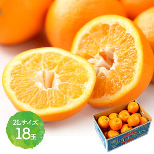 y2026N2{`{͂z QY {ɗ\  5kg JAЂߒ LTCY 2LTCY EH003 EH004 ݂    悩 Q Q悩 Q݂ t[c  