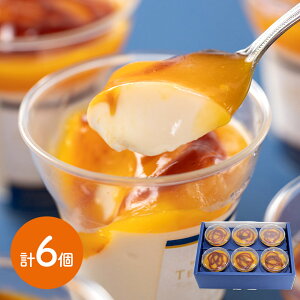  Ε 2025 E TERAKOYAďC Z}S[v 6 EITE-M6 v XC[c mَq  XC[cMtg Zbg Mtg v[g  j j  