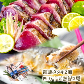 早割 お中元 2024 ハマヤ 完全ワラ焼き鰹タタキ 龍馬タタキ 2節 (各350g) 四万十鮎 2尾 塩・タレ 付き HY025 鰹のたたきカツオ タタキ 藁焼き 高知 海鮮 天然鮎 アユ 詰め合わせ お取り寄せ 内祝い お礼 ギフト 送料無料 プレゼント 父の日 御中元