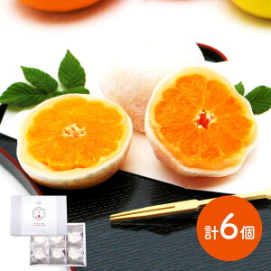 hV̓ 2025 ݂啟 uiMtgZbgjv 6 NENP001 t[c啟 aَq XC[c  j pI a LO j  Hi Mtg   Ⓚ 