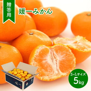  Ε 2025 y11{`12{͂zypzQ݂ 5kg NENP007 ݂  ~J B݂ Â t[c ʕ  Q Fa щʉ  Y i j 