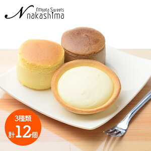  Ε NX}X 2025 erŏЉI iJV} `[YƃVR̃Xtƃ^g Zbg 厅`[Y 6 nVR 3 W`[Y^g NS-002 V Xt ^g `[YP[L 