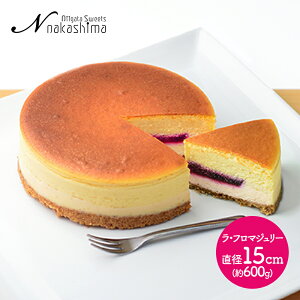  Ε 2025 iJV} Et}W[ a15cm NS-006 `[YP[L P[L Xt xCNh`[YP[L t}[W t{[Y V  kiri N[`[Y XC[c fU