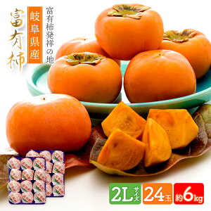 y\̔ 2025N11{`12{͂z 򕌌Y uxL`v L`3LTCY 3`6kg SFF1-3 `  JL L 2L 3L 3kg 6kg p 񂹃t[c t[c   ʕ j j 