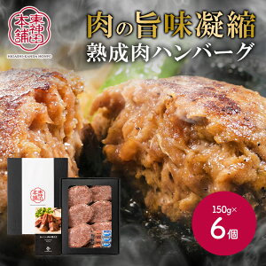  Ε ubNtCf[ 2025 _c{ y n Ƃfނ݂̂ō ̎| no[O 4 6 Zbg IF97408 Y јa    nno[O O