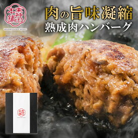お歳暮 2025 東神田本舗 発酵 熟成肉 とこだわり素材のみで作った 肉の旨さを感じる ハンバーグ 4個 6個 セット IF97408 国産 黒毛和牛 牛 牛肉 肉 熟成肉ハンバーグ グルメ 惣菜 お取り寄せ 手土産 ギフト プレゼント 高級 送料無料 お供え 御歳暮
