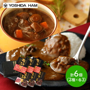 X[p[Z[  Ε 2025 gcn ˋ J[ V`[ Zbg 6H JZH-70CS  y J[ r[tJ[ r[tV`[ ˋ  r[t gg Zbg  lߍ