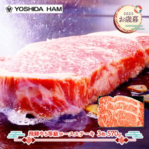  Ε 2025 y11/17`12/25͂zgcn ˋ 5 [XXe[L 3 JZHR-170S   [X Xe[L Y r[t  j  j Ԃ Mtg v[g 