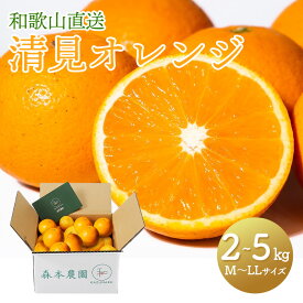 【2026年2月中旬〜5/15お届け】和歌山 直送 森本農園の 清見オレンジ 約 2kg 3kg 5kg M 〜 LL サイズ混合 KZ-SKU みかん 箱 買い 箱買い みかん箱買い フルーツ 果物 柑橘 オレンジ きよみ きよみオレンジ 和歌山産 くだもの 内祝い お祝い 送料無料