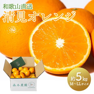 y2026N2{`5/15͂za̎R  X{_ IW  2kg 3kg 5kgi M ` LL TCY j KZ-SKU ݂    ݂񔠔 t[c ʕ k IW  