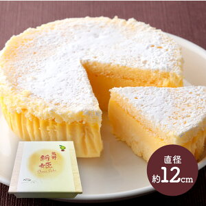  Ε NX}X 2025 VP`[YP[L 1 4 a12cm MJ005 P[L Z `[YP[L `[Y N[`[Y XC[c mَq VP FsY k  i j 