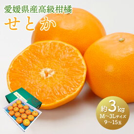 エントリーでP13倍! 【2026年2月下旬〜3月中旬お届け】 愛媛県産 せとか 約3kg （ M〜3Lサイズ 9〜15玉 ） NENP011 みかん せとかみかん 箱 買い 箱買い みかん箱買い 愛媛みかん フルーツ 果物 柑橘 ミカン 甘い 青果 くだもの 内祝い お祝い お礼 お返し ギフト 送料無料