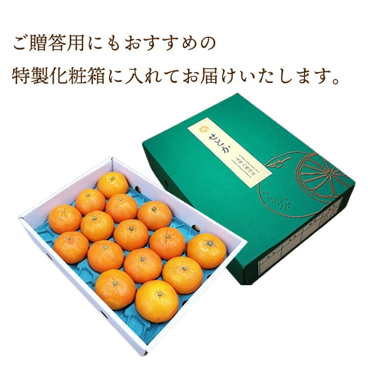 楽天市場】【2024年2月下旬～3月上旬お届け】 愛媛県産 せとか 約3kg 
