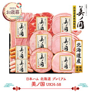  Ε 2025 y2025/11/21`12/25͂z {n kC v~A m UKH-58 NMUKH-58 y n [Xn n ECi[ x[R O  nMtg v[g Mt