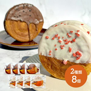 X[p[Z[  Ε 2025  NbT[ 8 i JX^[h ×4 `R ×4 j RN017 XC[c NbT Ⓚp p kC JX^[hN[ `R `RN[